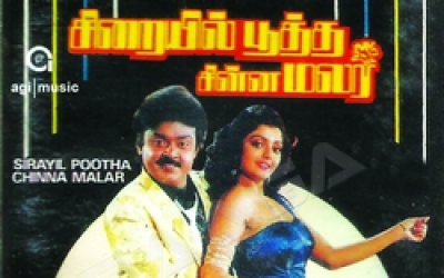 Siraiyil Pootha Chinna Malar (1990)